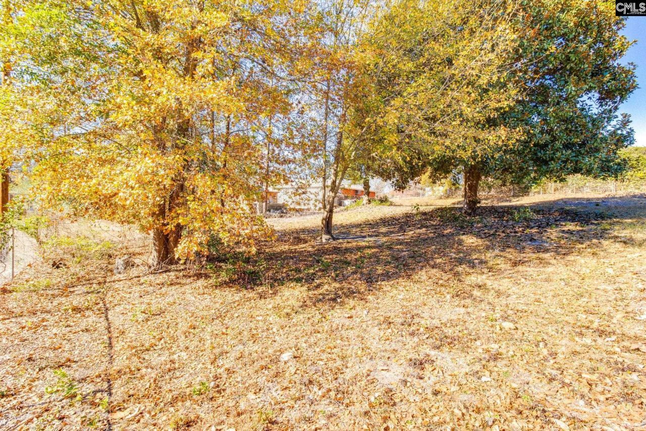 819 Pond Drive Photo 39