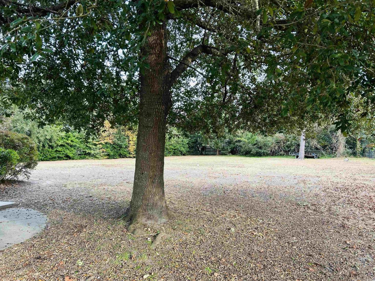 5908 Country Club Dr. Photo 5