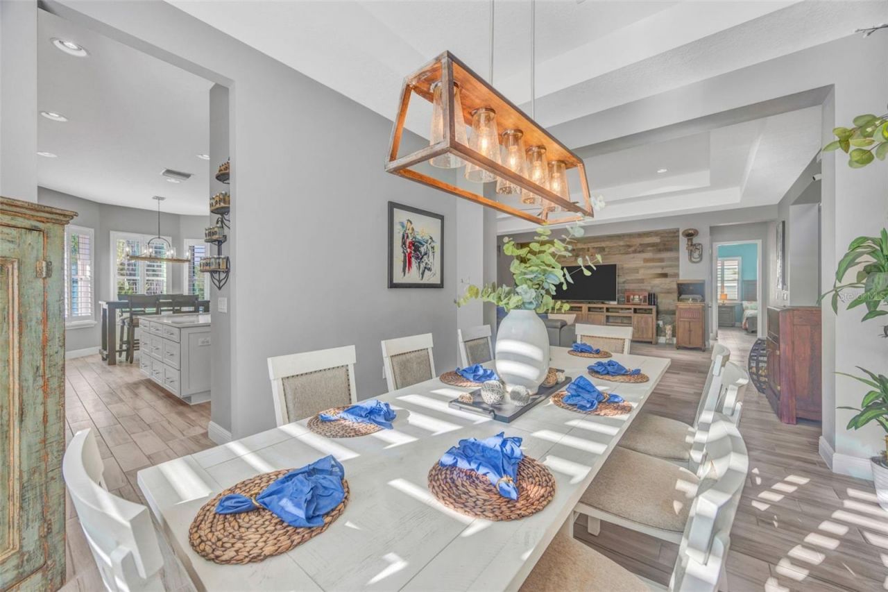 30552 Ivy Forge Court, Wesley Chapel, FL 33543 Photo