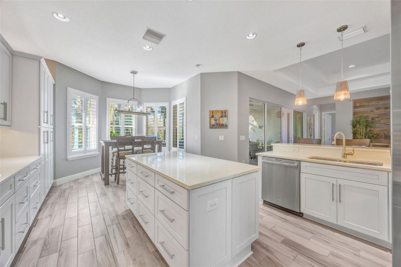 30552 Ivy Forge Court, Wesley Chapel, FL 33543 Photo