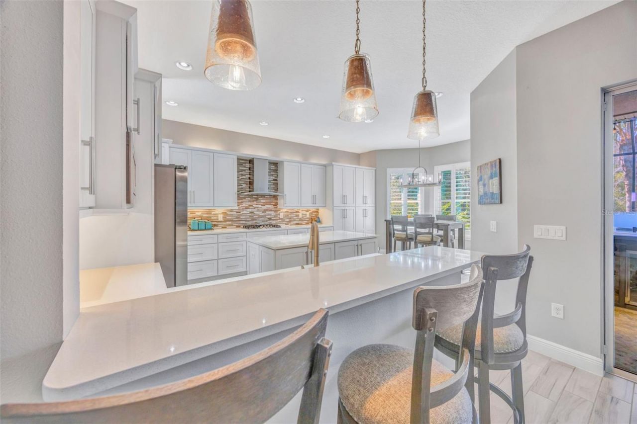 30552 Ivy Forge Court, Wesley Chapel, FL 33543 Photo