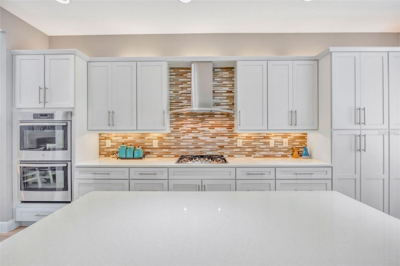 30552 Ivy Forge Court, Wesley Chapel, FL 33543 Photo