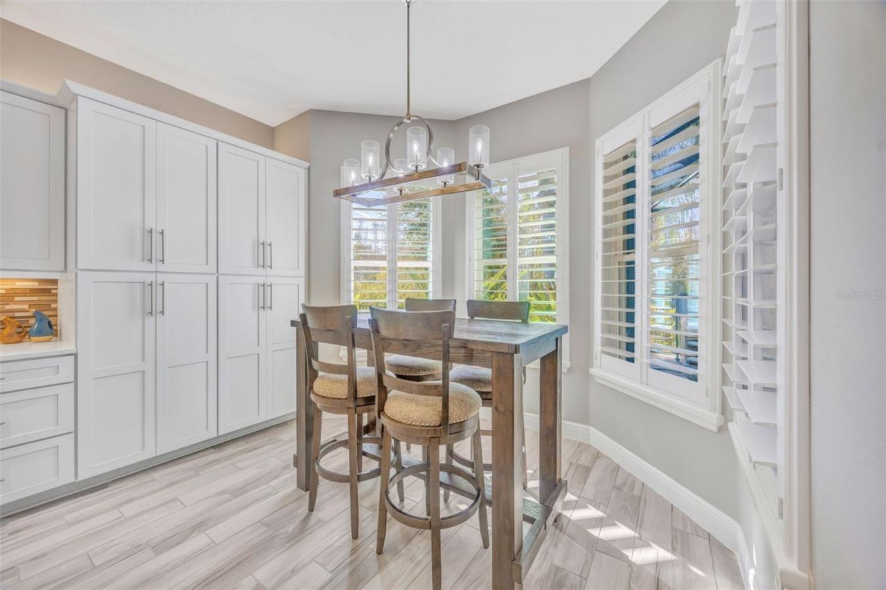 30552 Ivy Forge Court, Wesley Chapel, FL 33543 Photo