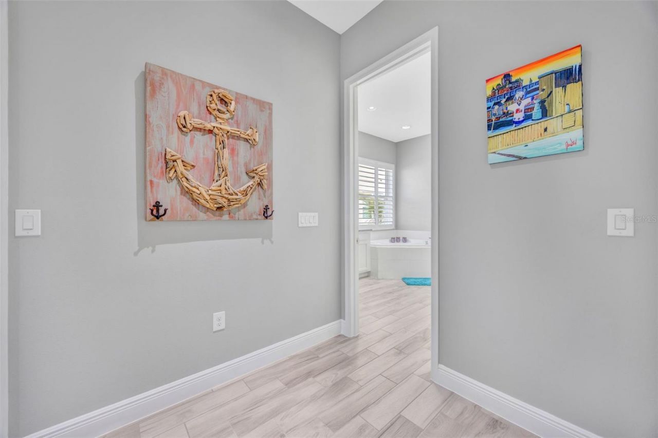 30552 Ivy Forge Court, Wesley Chapel, FL 33543 Photo