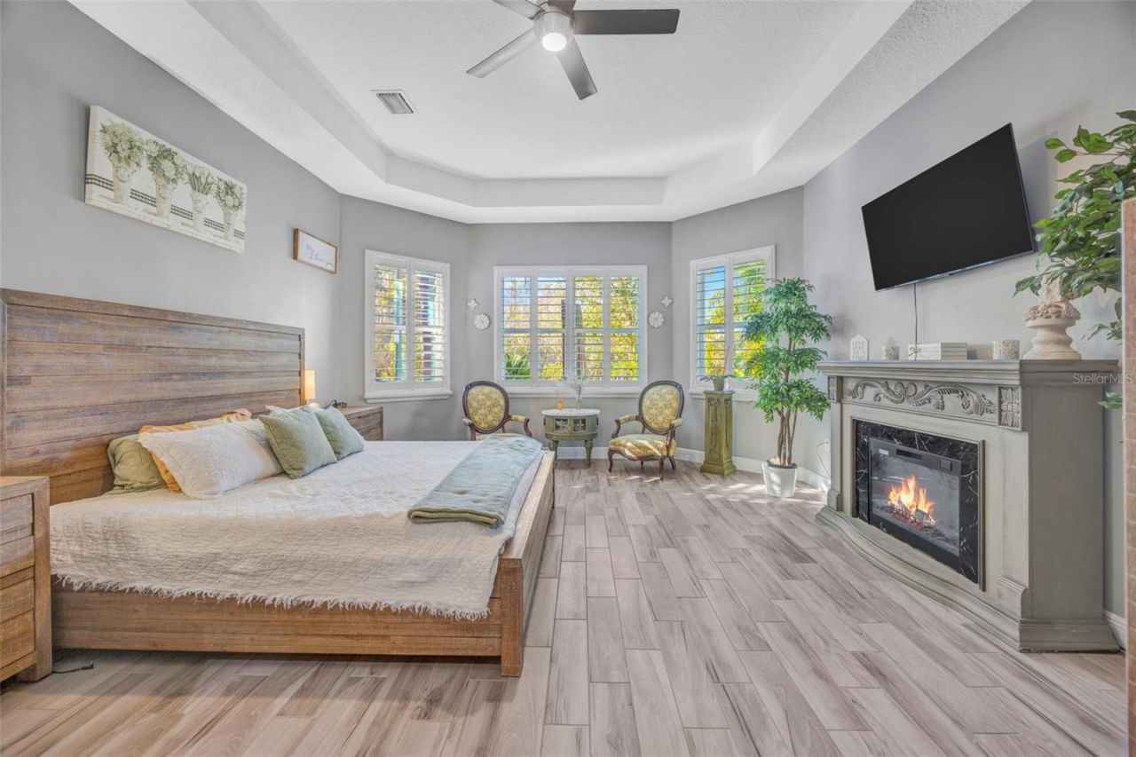 30552 Ivy Forge Court, Wesley Chapel, FL 33543 Photo