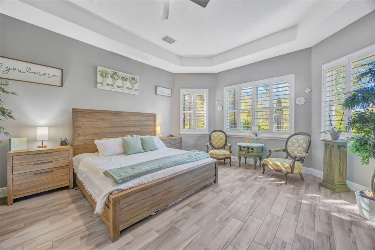 30552 Ivy Forge Court, Wesley Chapel, FL 33543 Photo