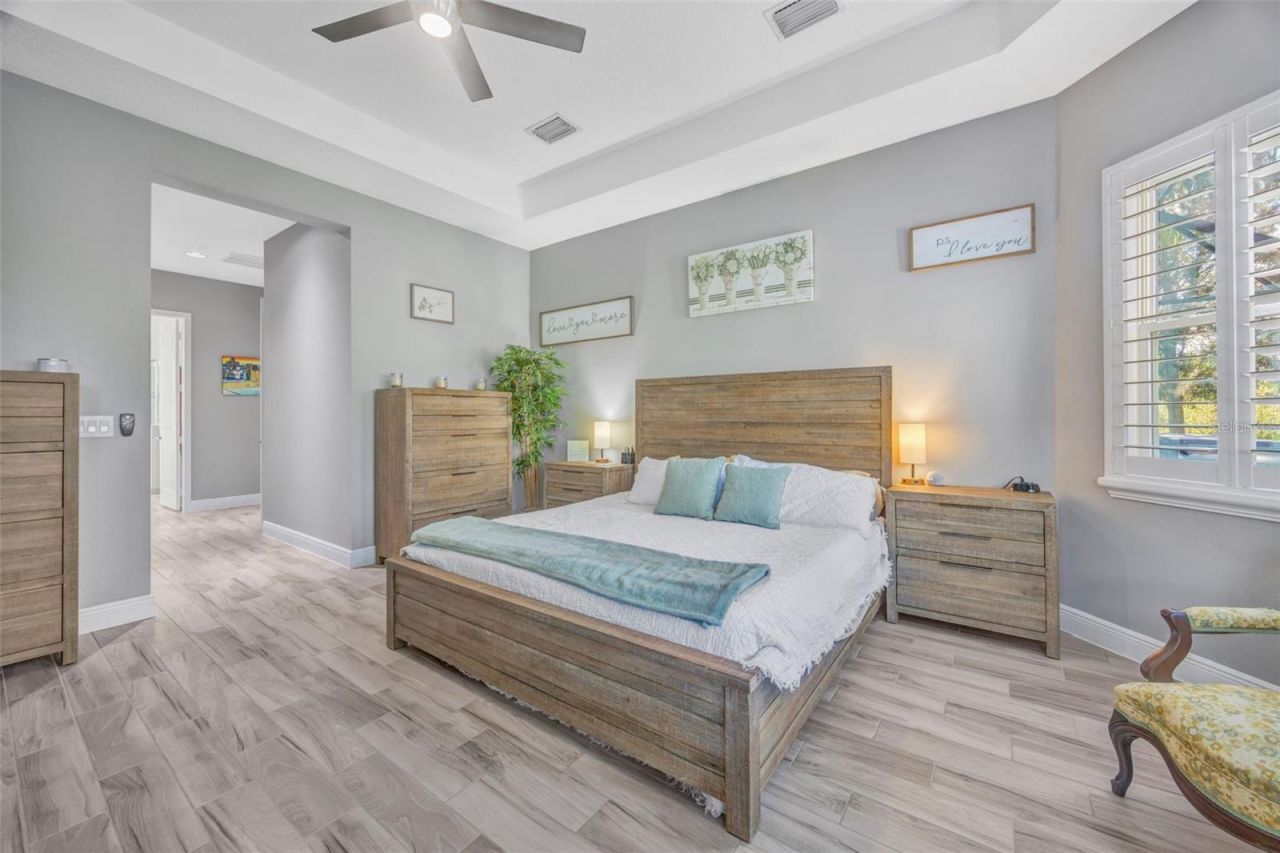 30552 Ivy Forge Court, Wesley Chapel, FL 33543 Photo