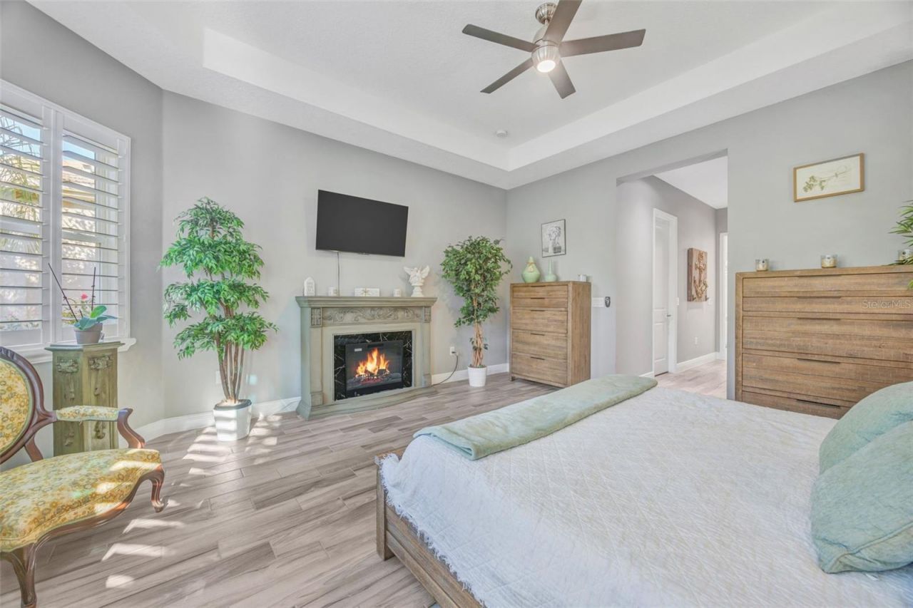 30552 Ivy Forge Court, Wesley Chapel, FL 33543 Photo