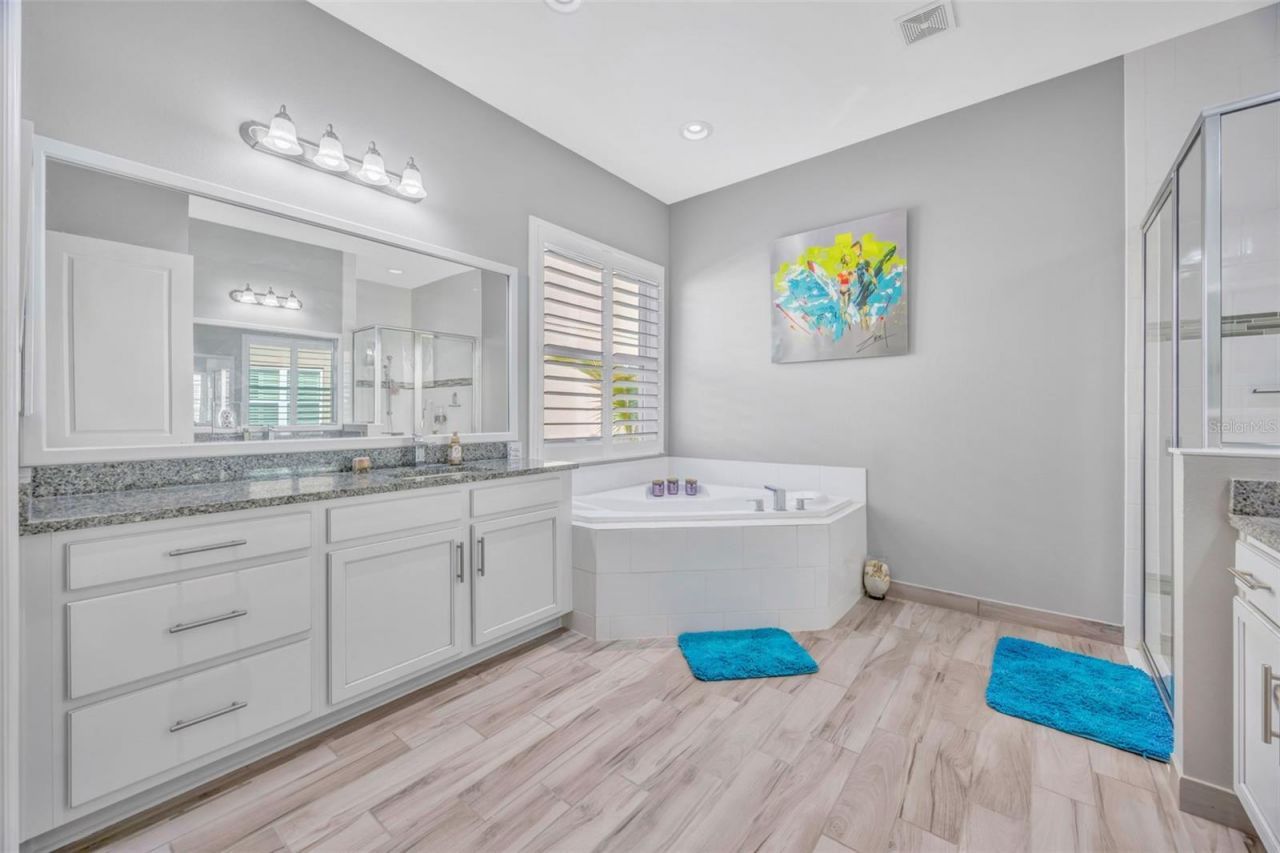 30552 Ivy Forge Court, Wesley Chapel, FL 33543 Photo