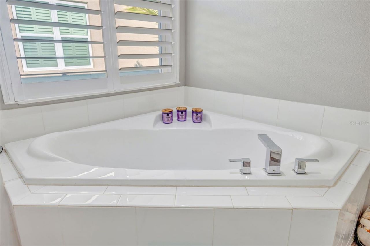 30552 Ivy Forge Court, Wesley Chapel, FL 33543 Photo