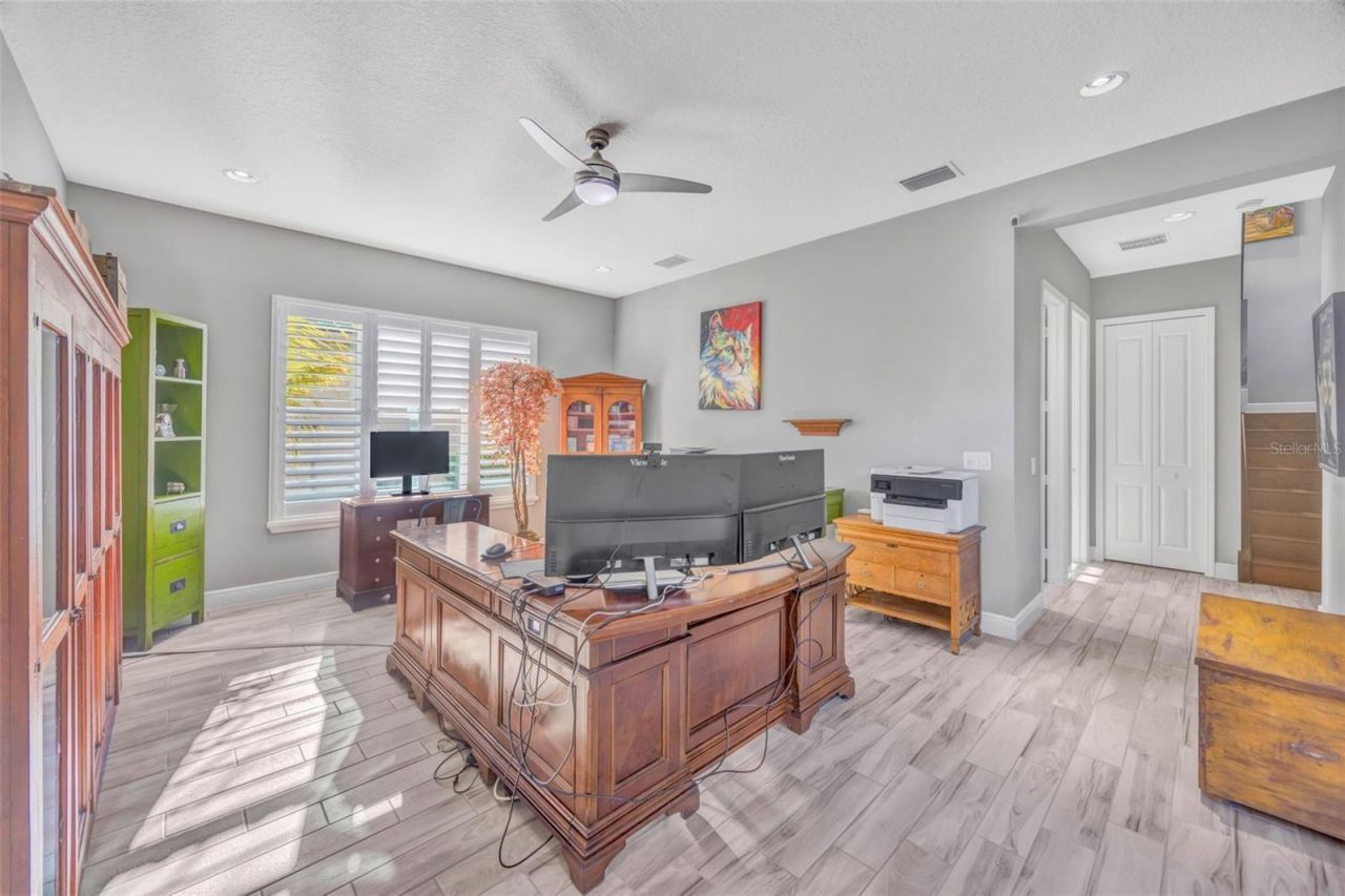 30552 Ivy Forge Court, Wesley Chapel, FL 33543 Photo