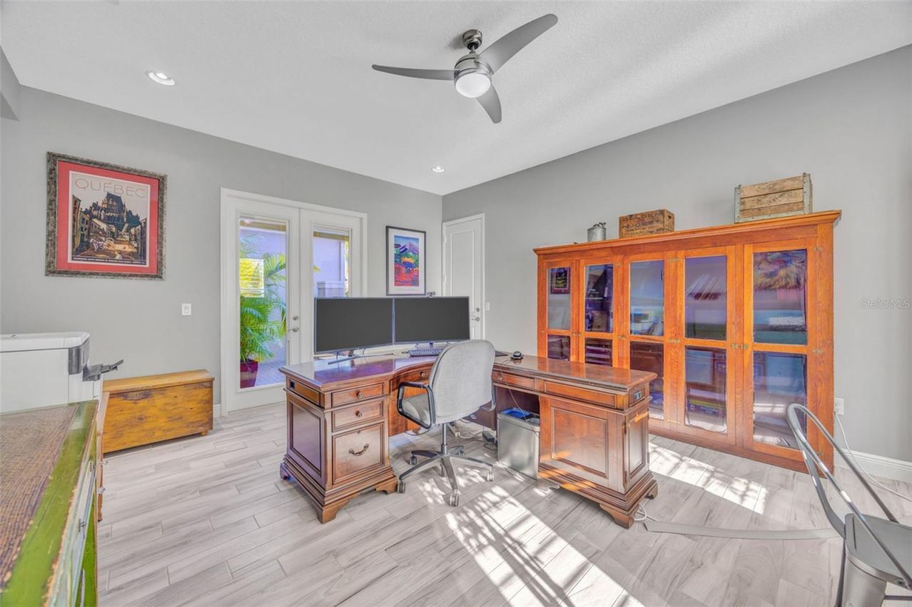 30552 Ivy Forge Court, Wesley Chapel, FL 33543 Photo