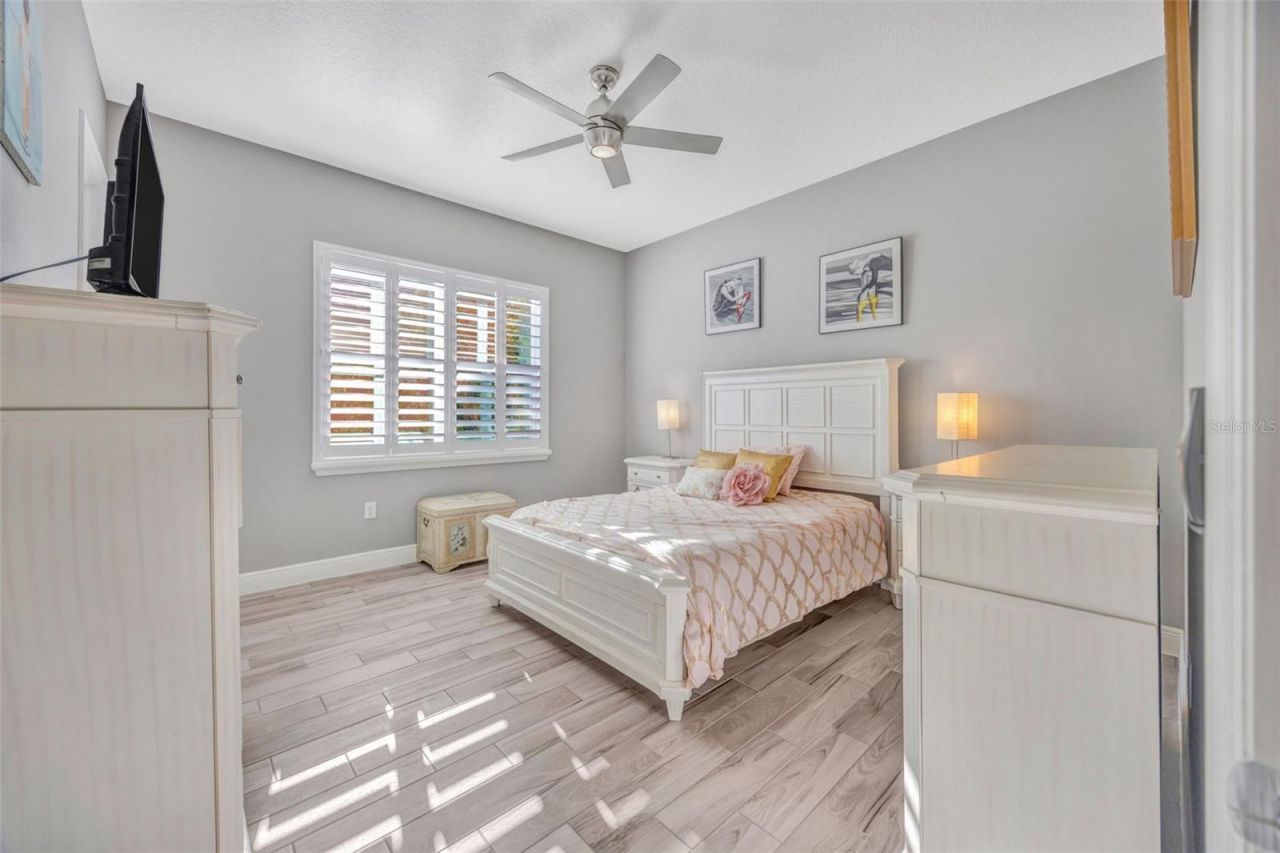 30552 Ivy Forge Court, Wesley Chapel, FL 33543 Photo