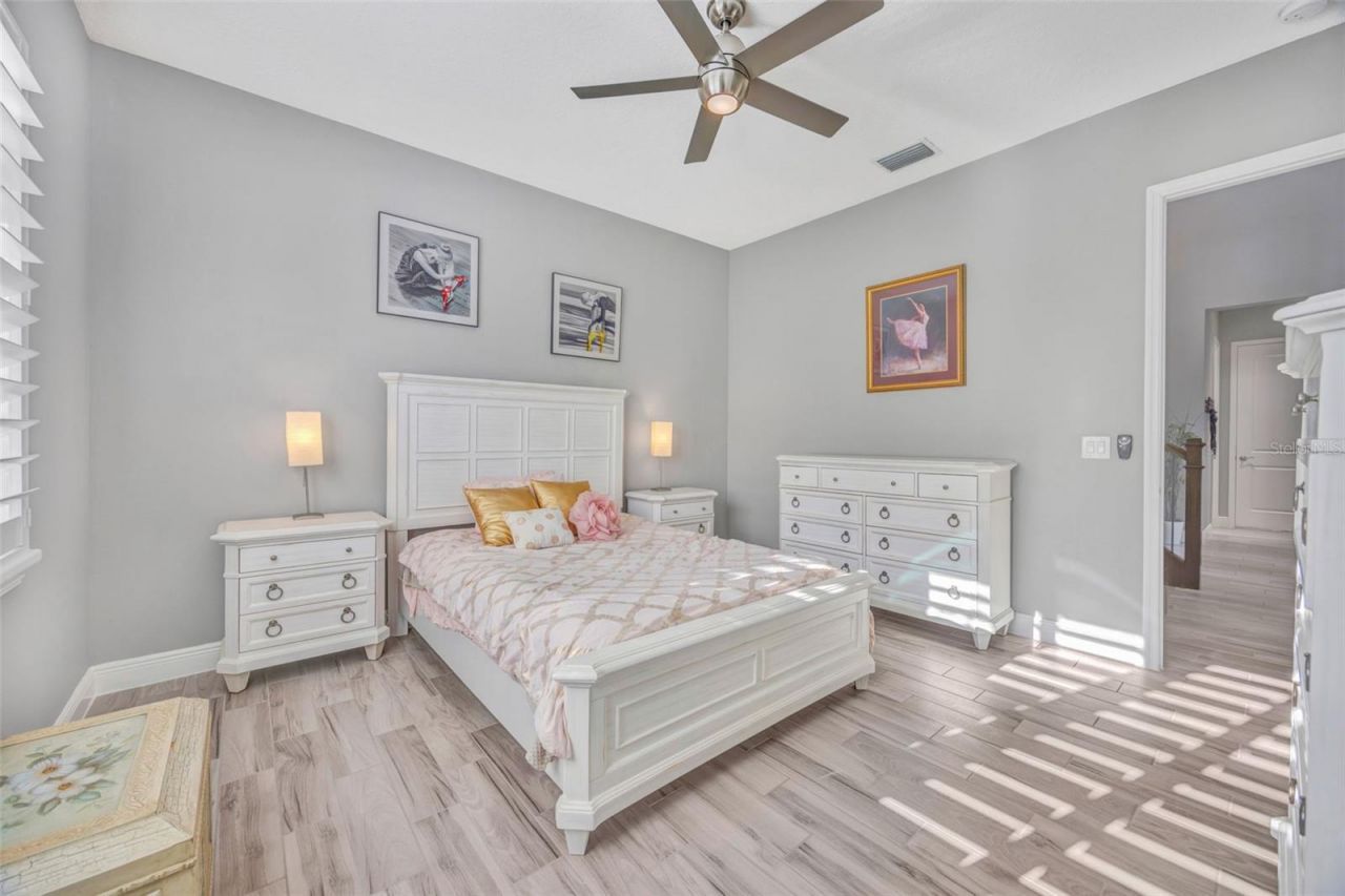 30552 Ivy Forge Court, Wesley Chapel, FL 33543 Photo