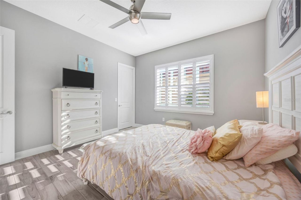 30552 Ivy Forge Court, Wesley Chapel, FL 33543 Photo