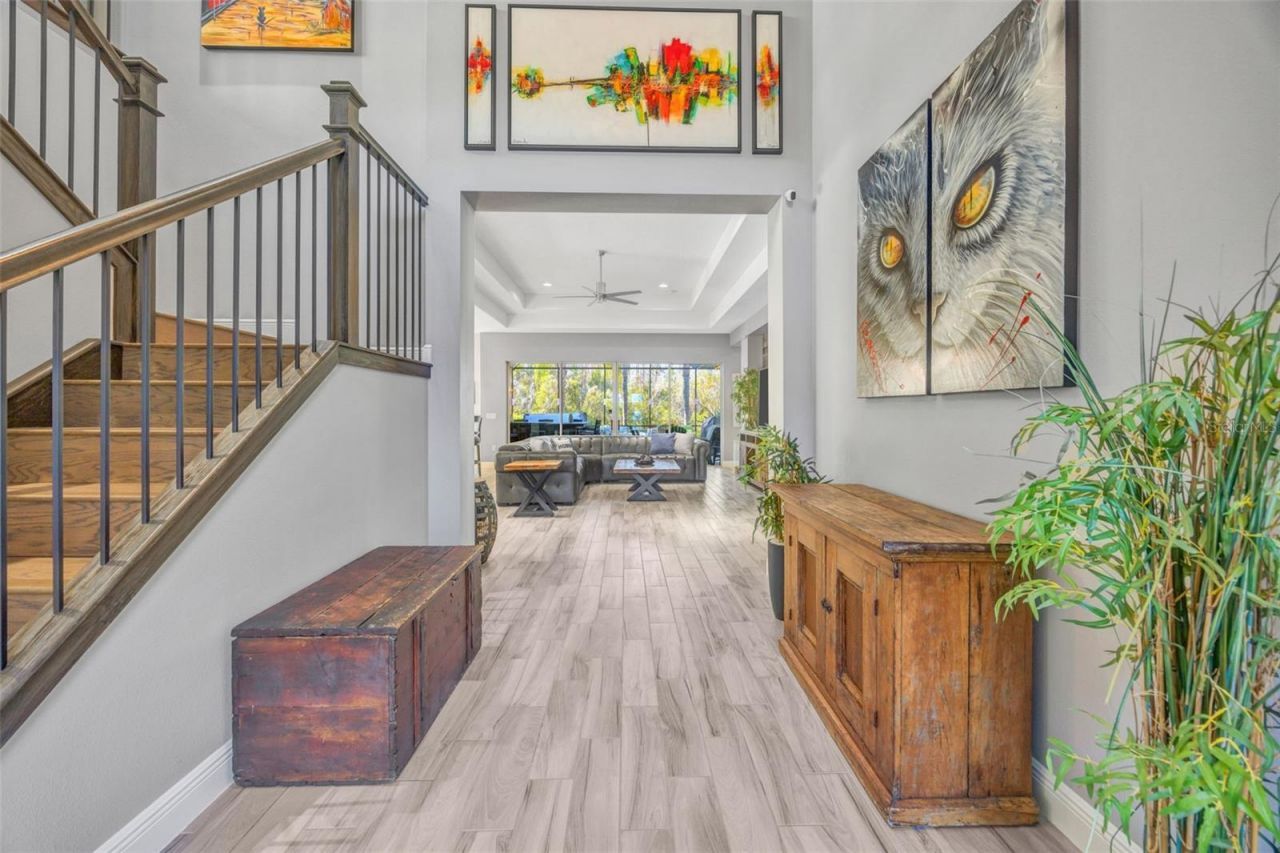 30552 Ivy Forge Court, Wesley Chapel, FL 33543 Photo