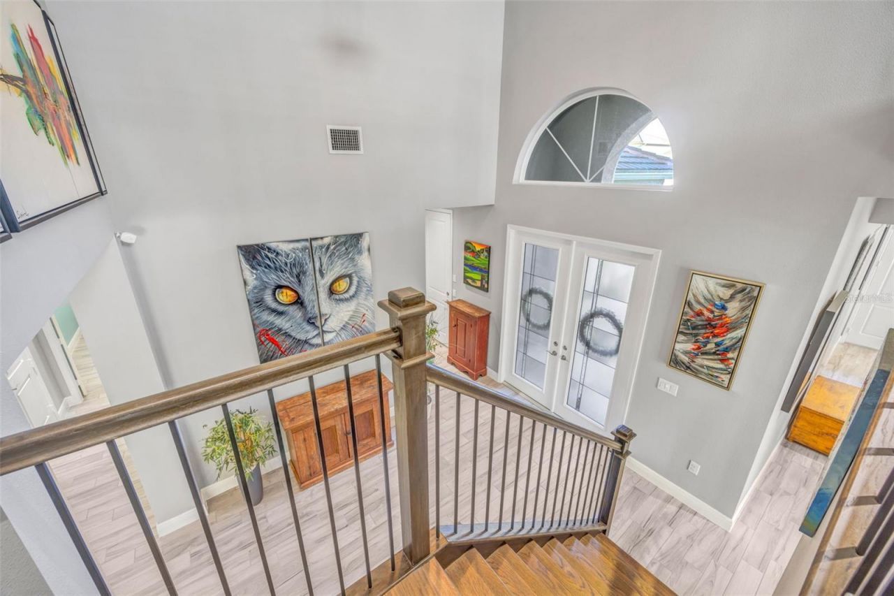 30552 Ivy Forge Court, Wesley Chapel, FL 33543 Photo