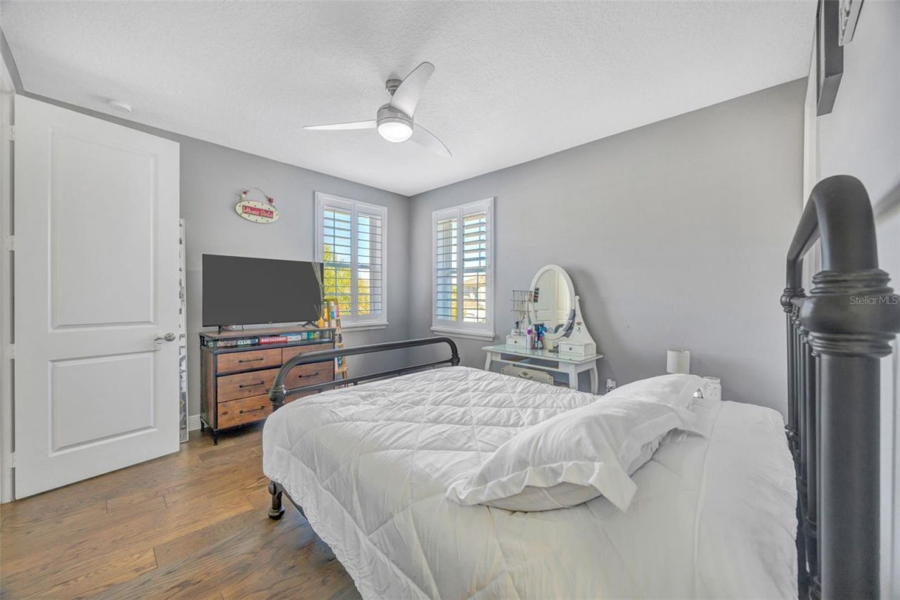 30552 Ivy Forge Court, Wesley Chapel, FL 33543 Photo