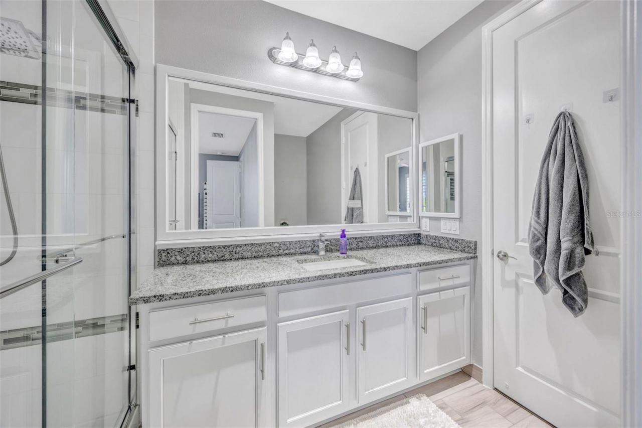 30552 Ivy Forge Court, Wesley Chapel, FL 33543 Photo