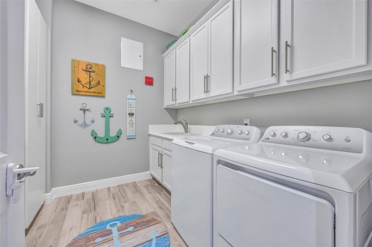 30552 Ivy Forge Court, Wesley Chapel, FL 33543 Photo