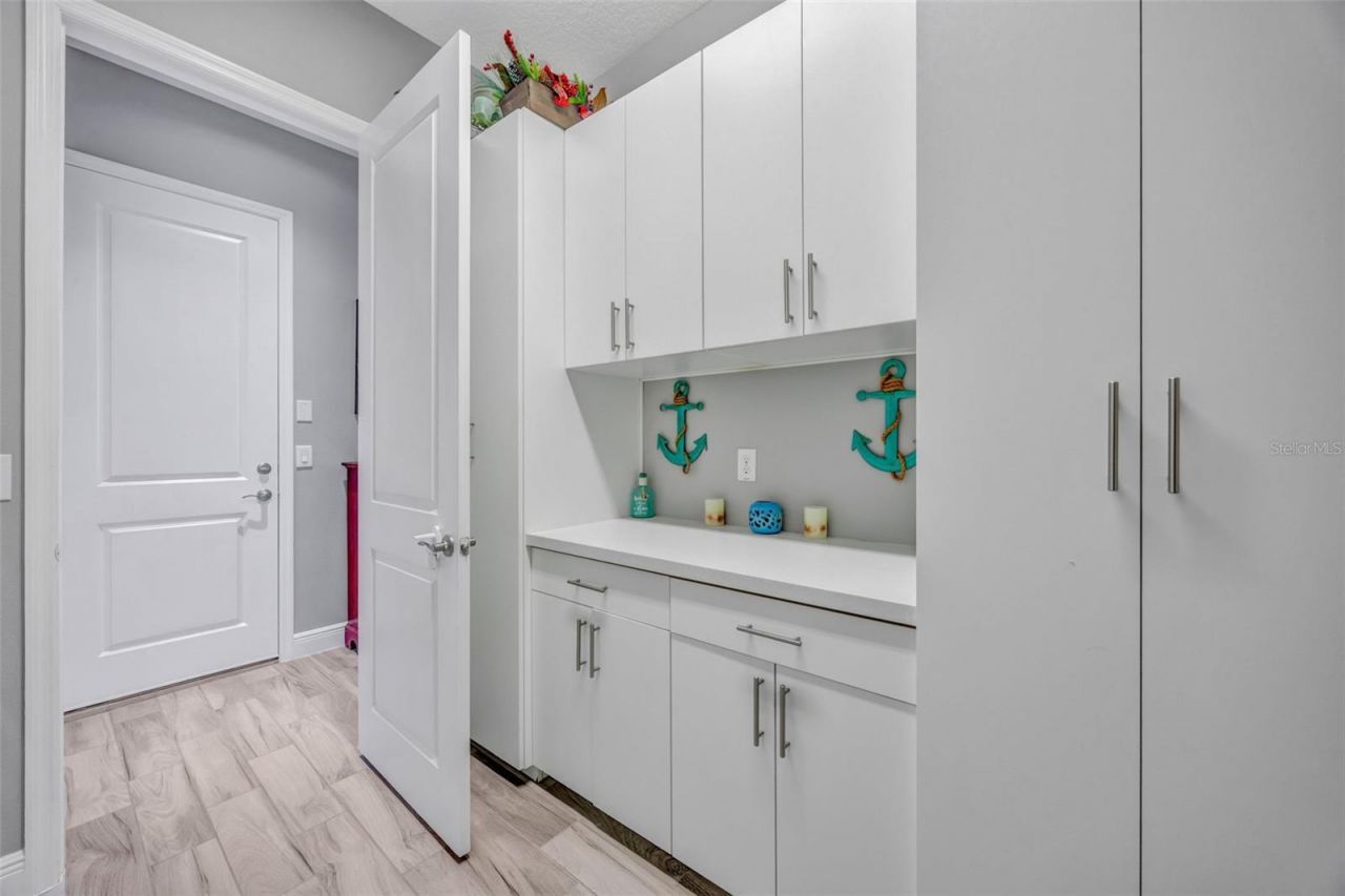 30552 Ivy Forge Court, Wesley Chapel, FL 33543 Photo