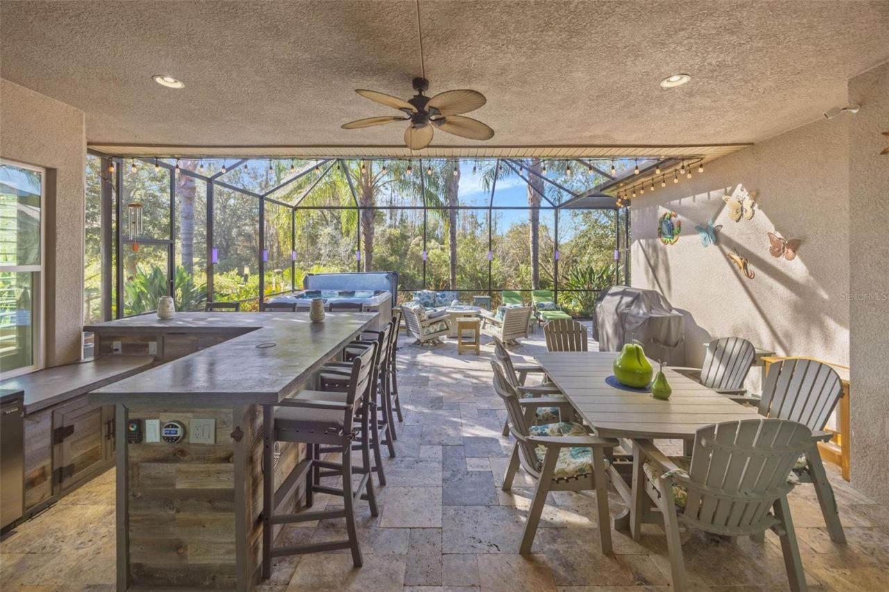 30552 Ivy Forge Court, Wesley Chapel, FL 33543 Photo