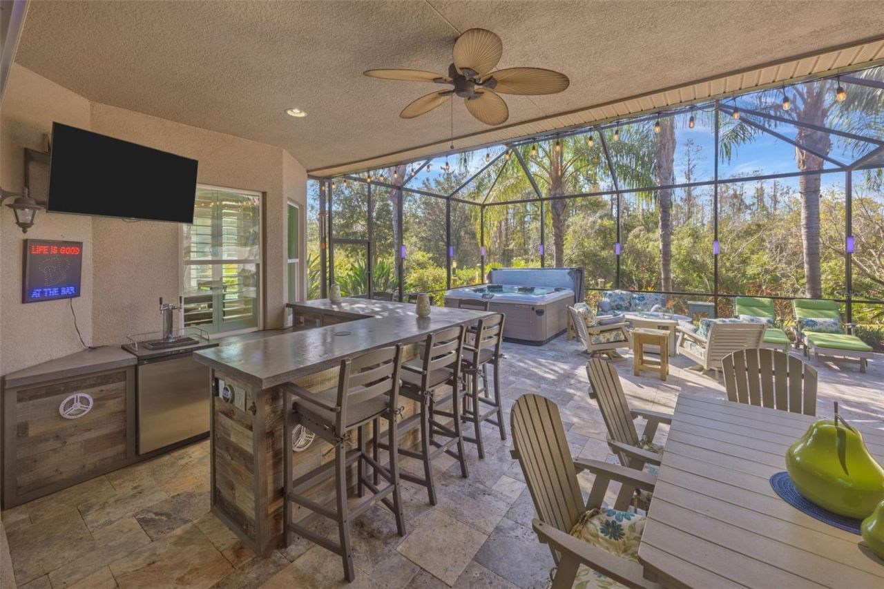 30552 Ivy Forge Court, Wesley Chapel, FL 33543 Photo