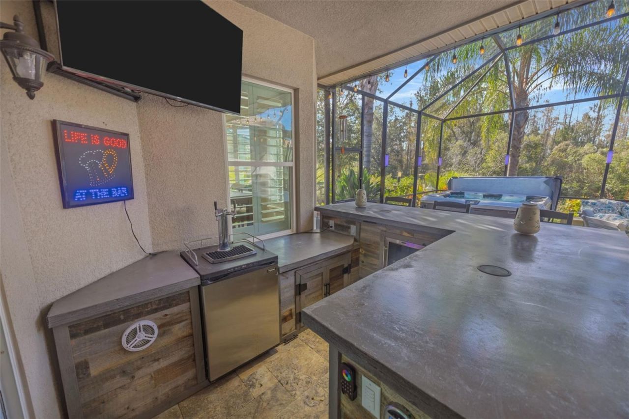 30552 Ivy Forge Court, Wesley Chapel, FL 33543 Photo