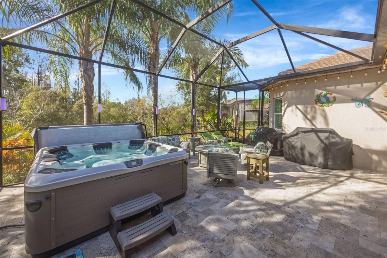 30552 Ivy Forge Court, Wesley Chapel, FL 33543 Photo