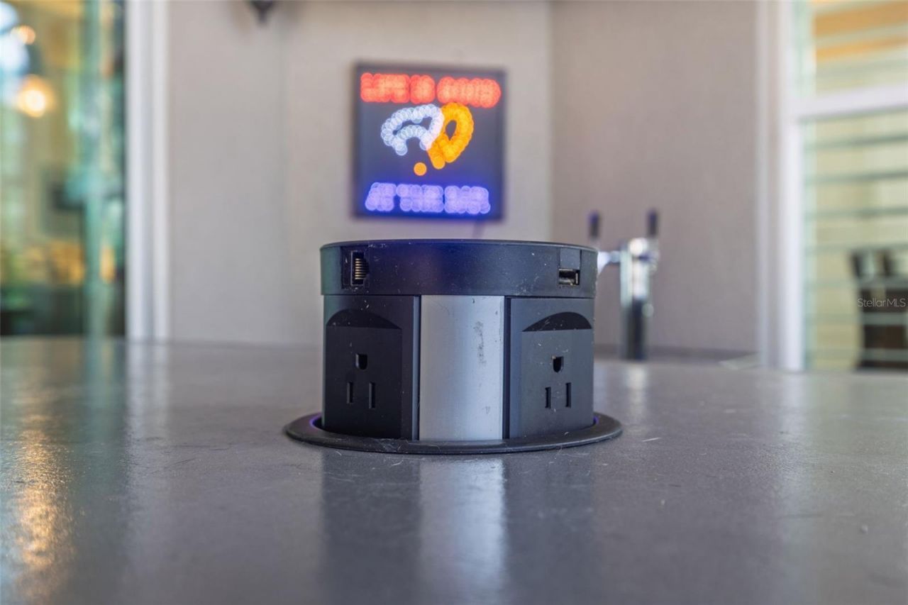 30552 Ivy Forge Court, Wesley Chapel, FL 33543 Photo