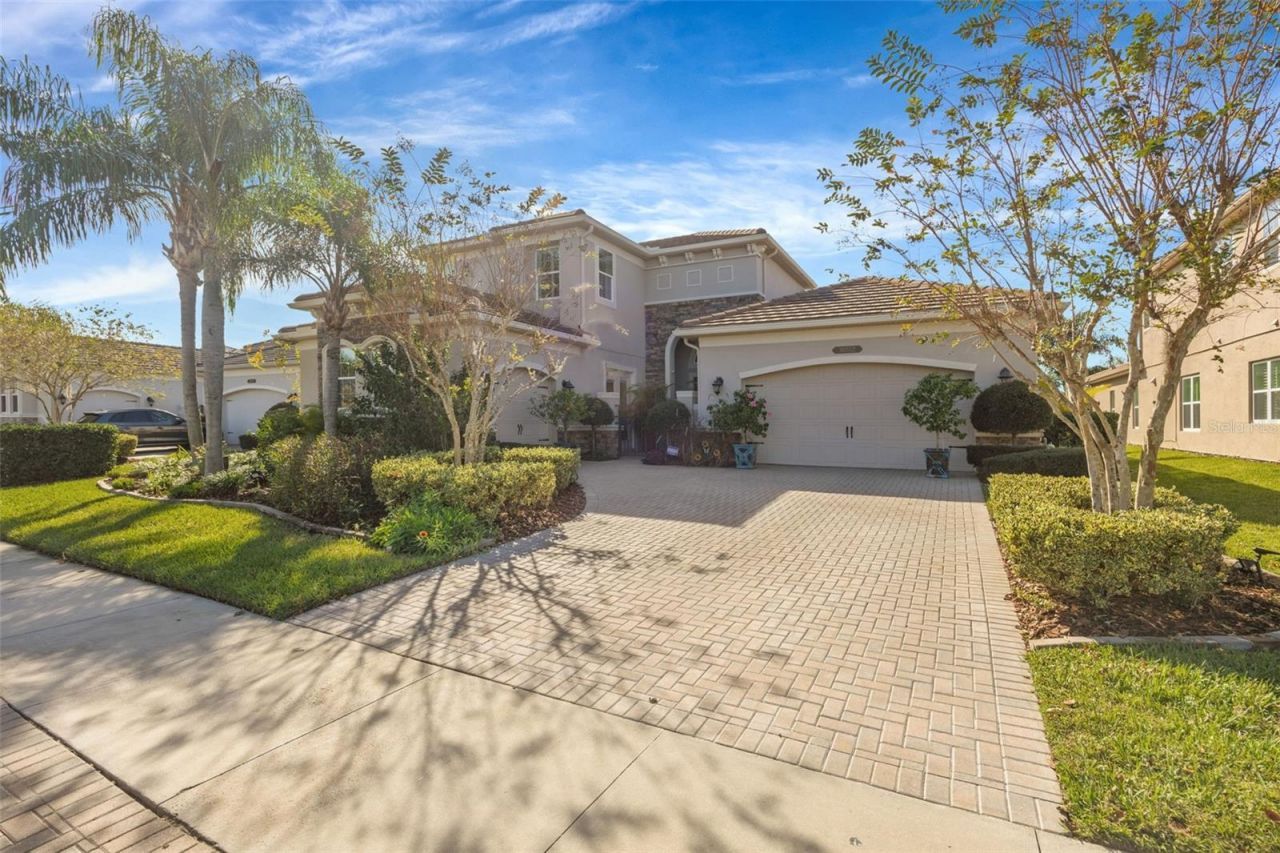 30552 Ivy Forge Court, Wesley Chapel, FL 33543 Photo