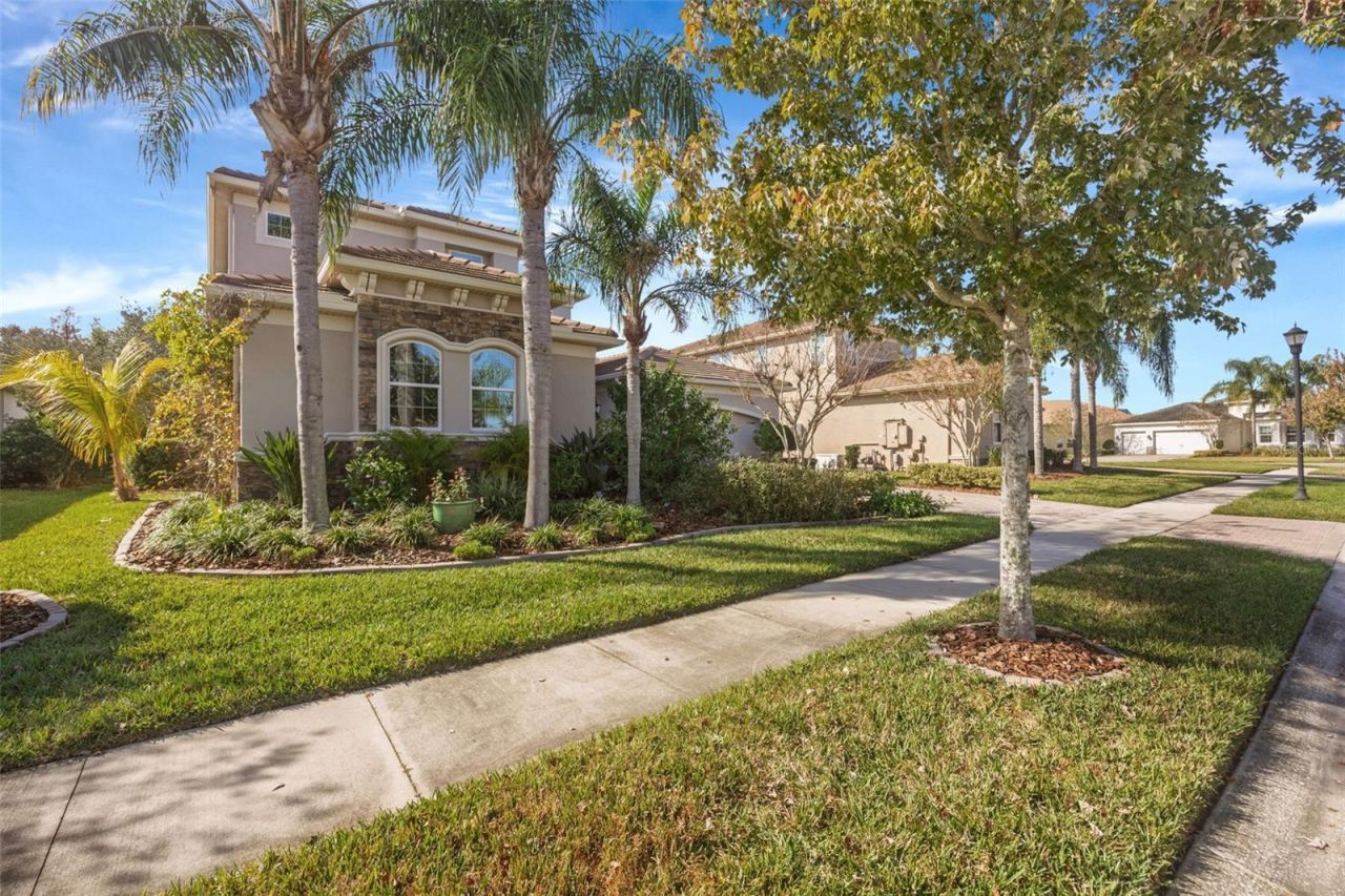 30552 Ivy Forge Court, Wesley Chapel, FL 33543 Photo