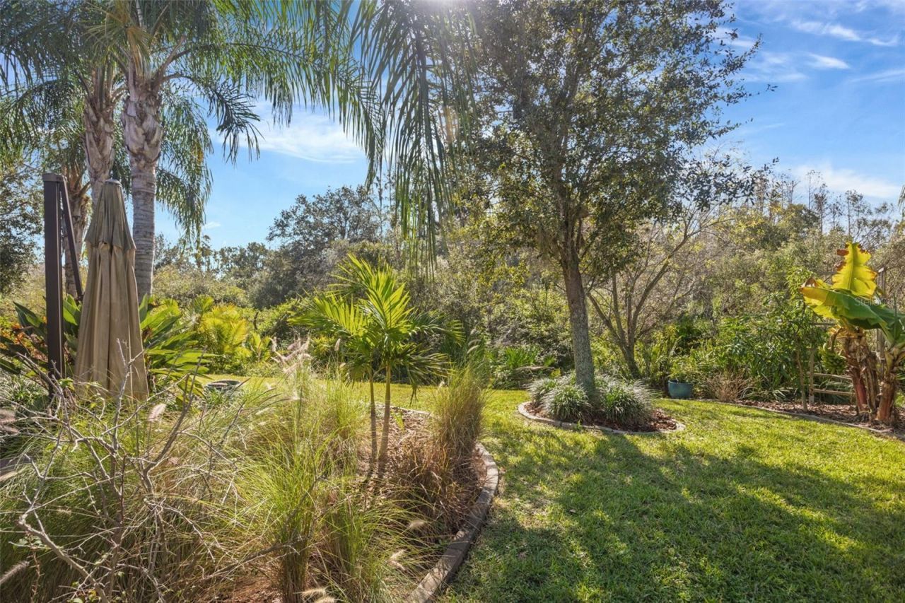 30552 Ivy Forge Court, Wesley Chapel, FL 33543 Photo