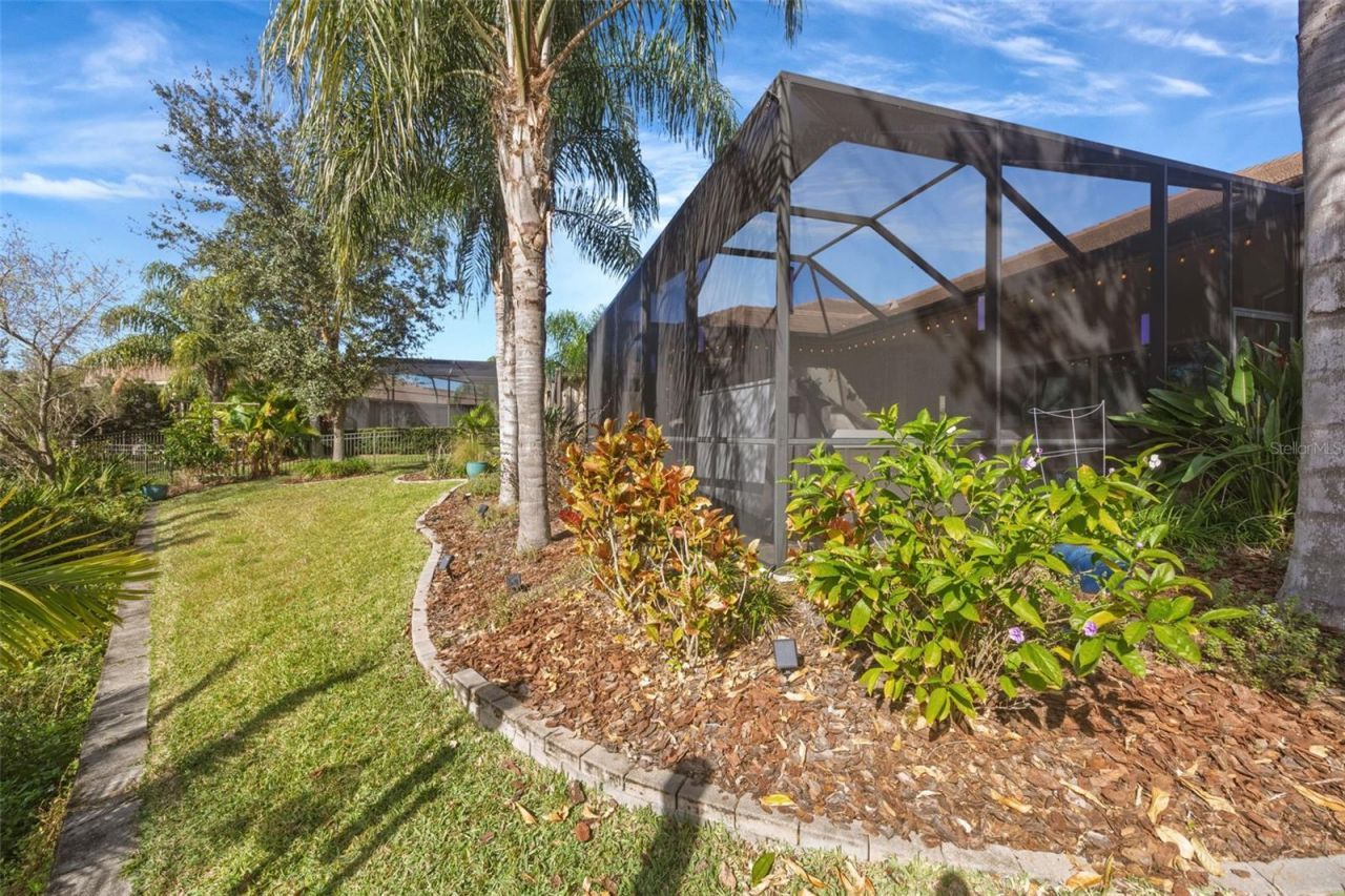 30552 Ivy Forge Court, Wesley Chapel, FL 33543 Photo