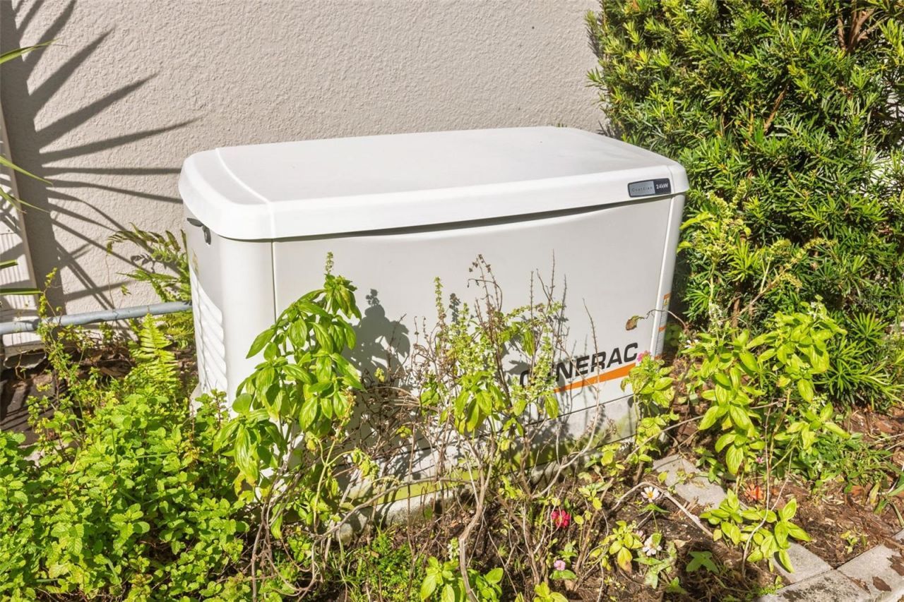 30552 Ivy Forge Court, Wesley Chapel, FL 33543 Photo