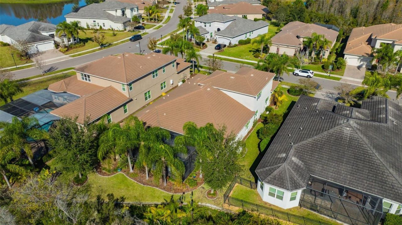 30552 Ivy Forge Court, Wesley Chapel, FL 33543 Photo