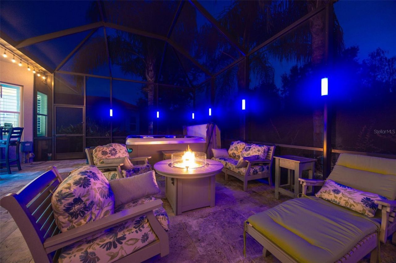 30552 Ivy Forge Court, Wesley Chapel, FL 33543 Photo