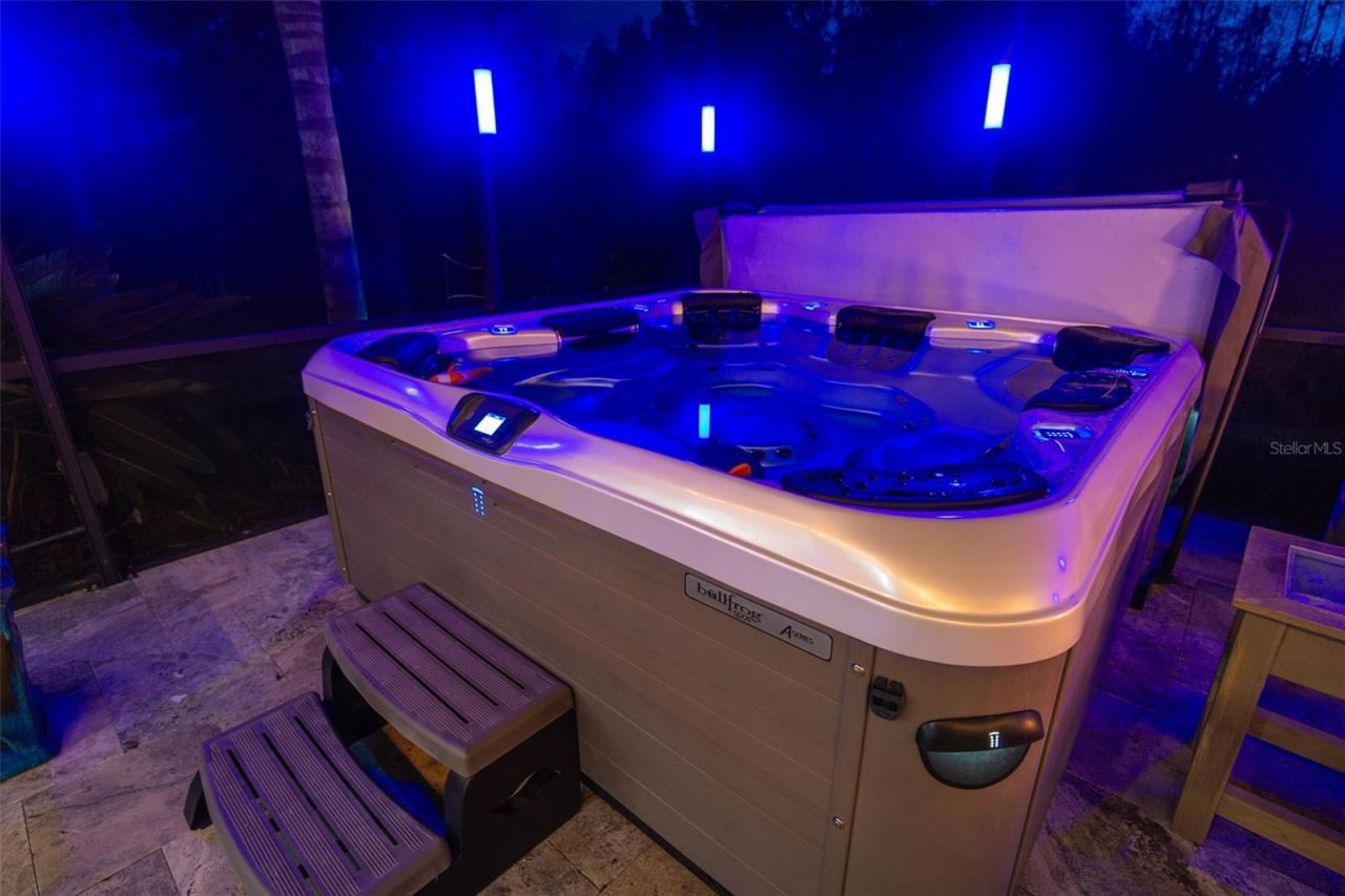 30552 Ivy Forge Court, Wesley Chapel, FL 33543 Photo