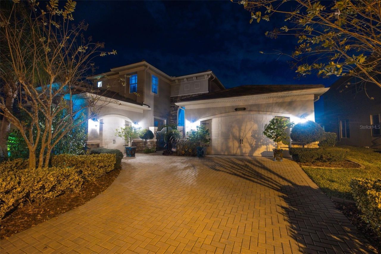 30552 Ivy Forge Court, Wesley Chapel, FL 33543 Photo