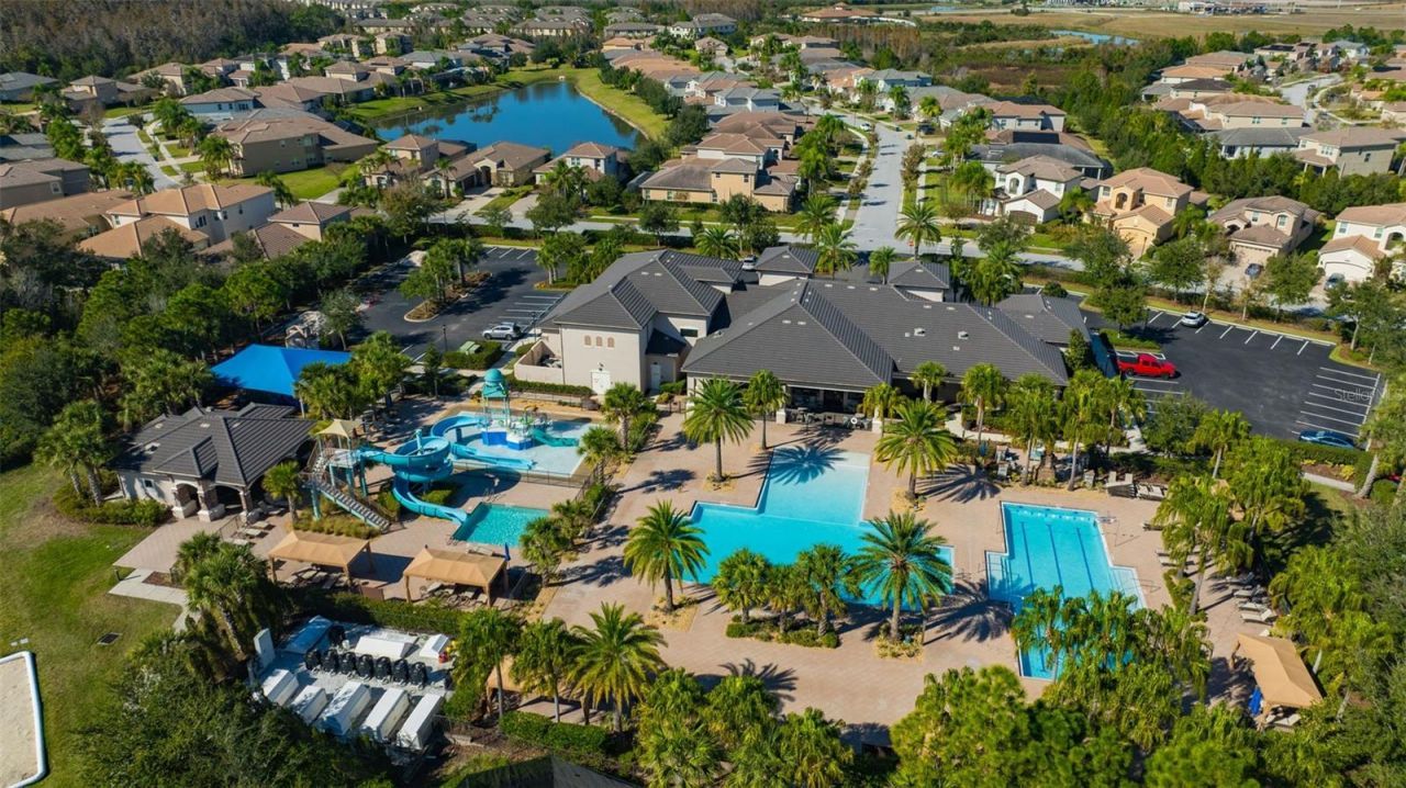 30552 Ivy Forge Court, Wesley Chapel, FL 33543 Photo