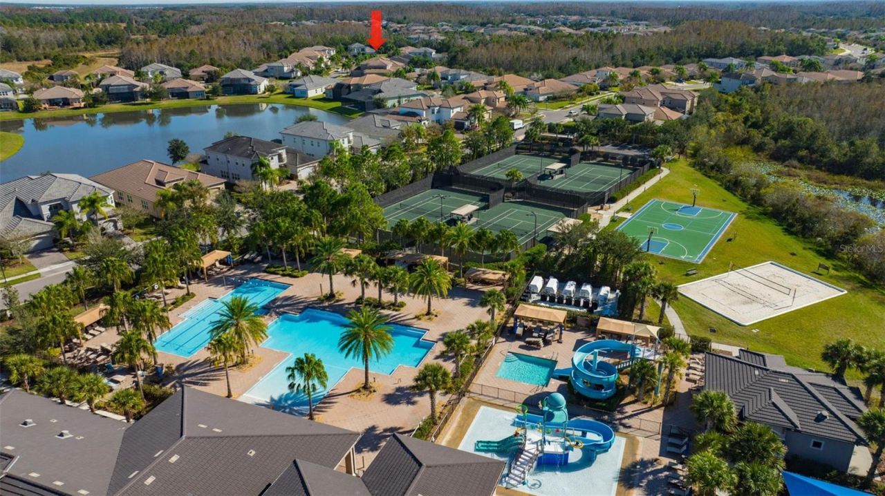 30552 Ivy Forge Court, Wesley Chapel, FL 33543 Photo