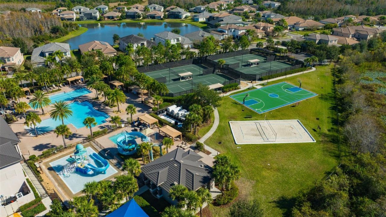 30552 Ivy Forge Court, Wesley Chapel, FL 33543 Photo