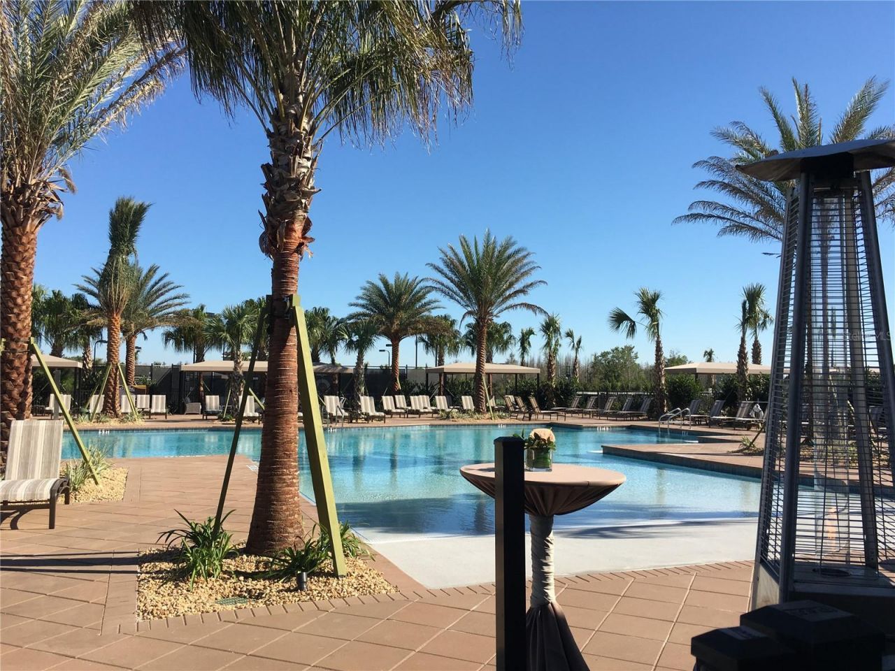 30552 Ivy Forge Court, Wesley Chapel, FL 33543 Photo