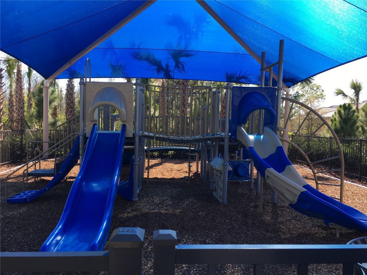 30552 Ivy Forge Court, Wesley Chapel, FL 33543 Photo