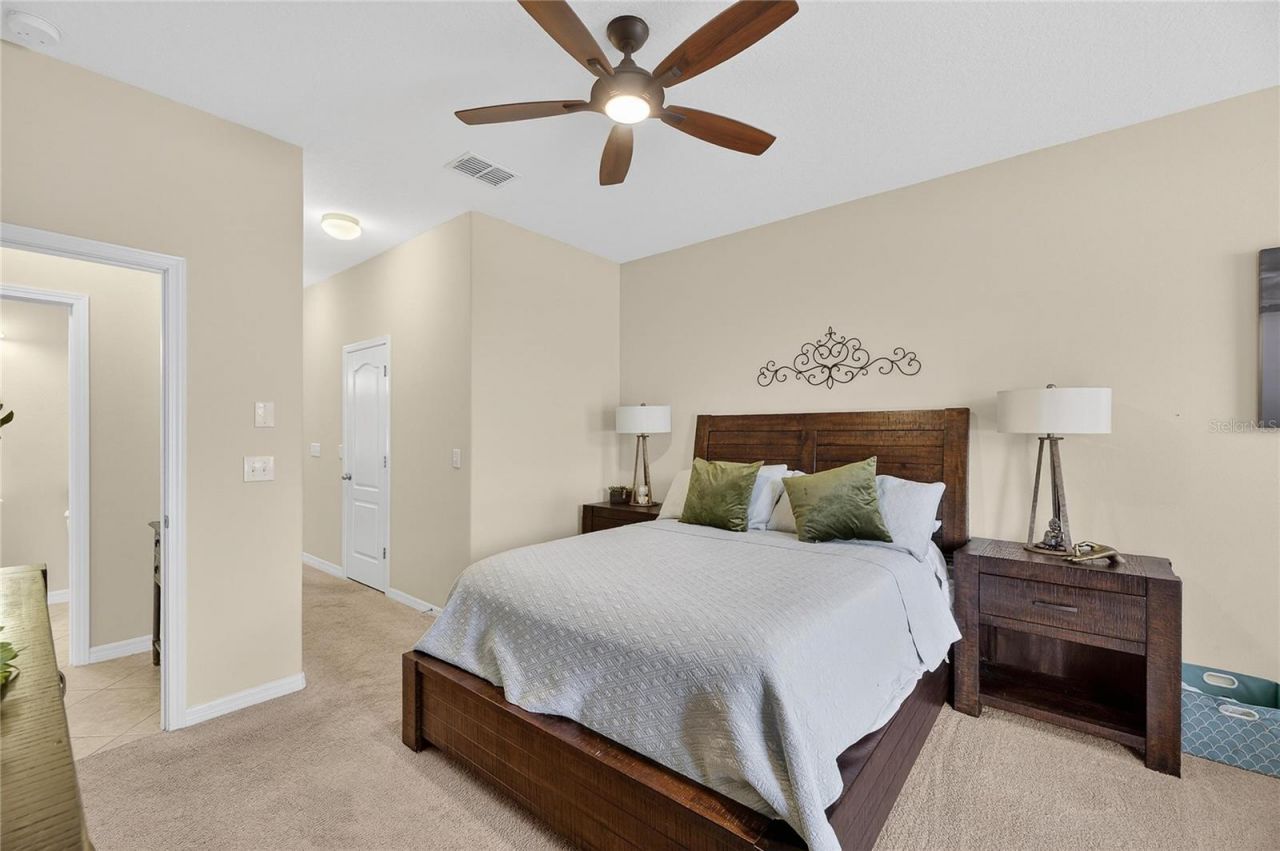 20041 Satin Leaf Avenue, Tampa, FL 33647 Photo