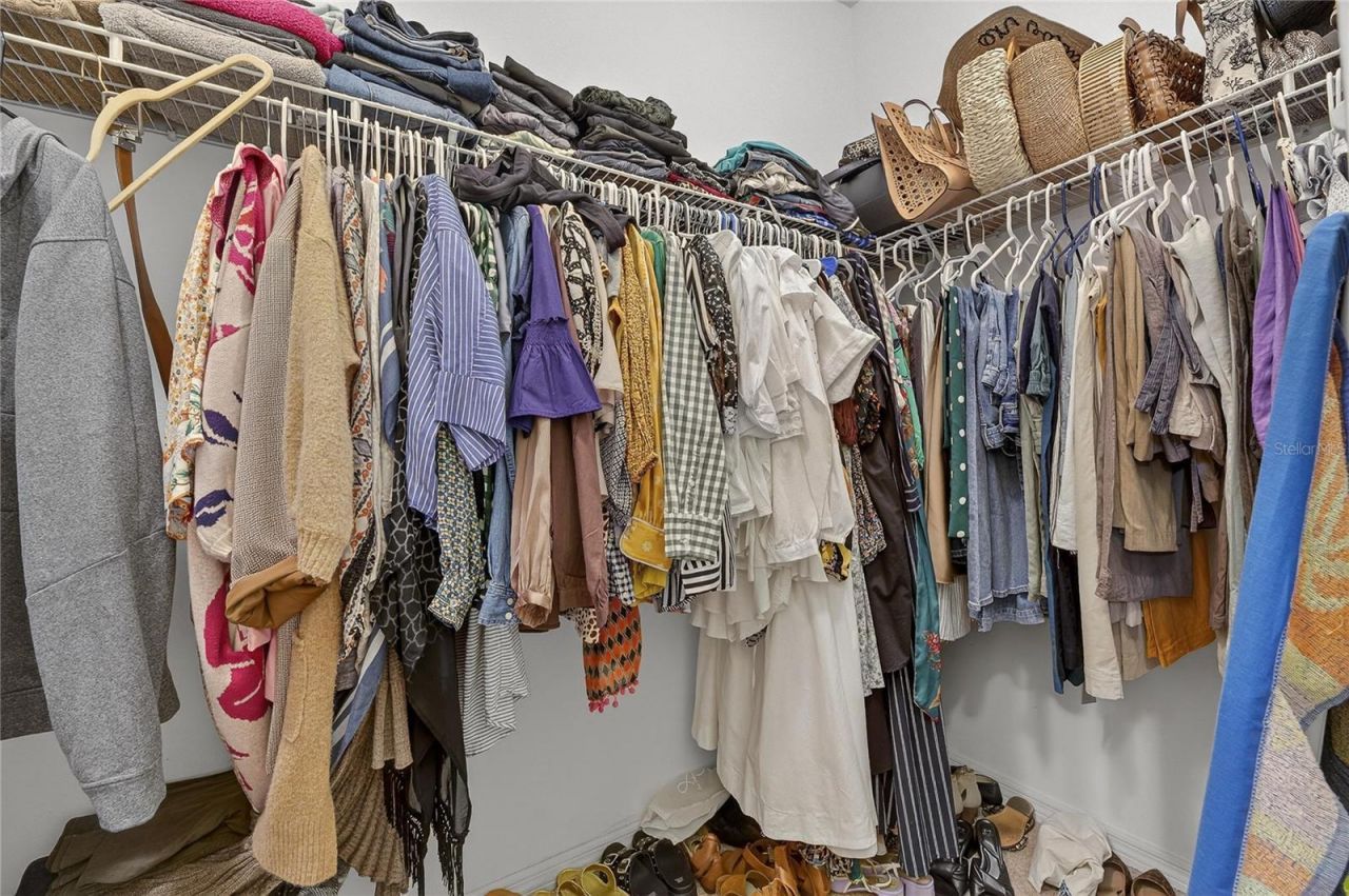 20041 Satin Leaf Avenue, Tampa, FL 33647 Photo