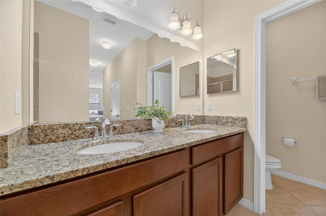 20041 Satin Leaf Avenue, Tampa, FL 33647 Photo