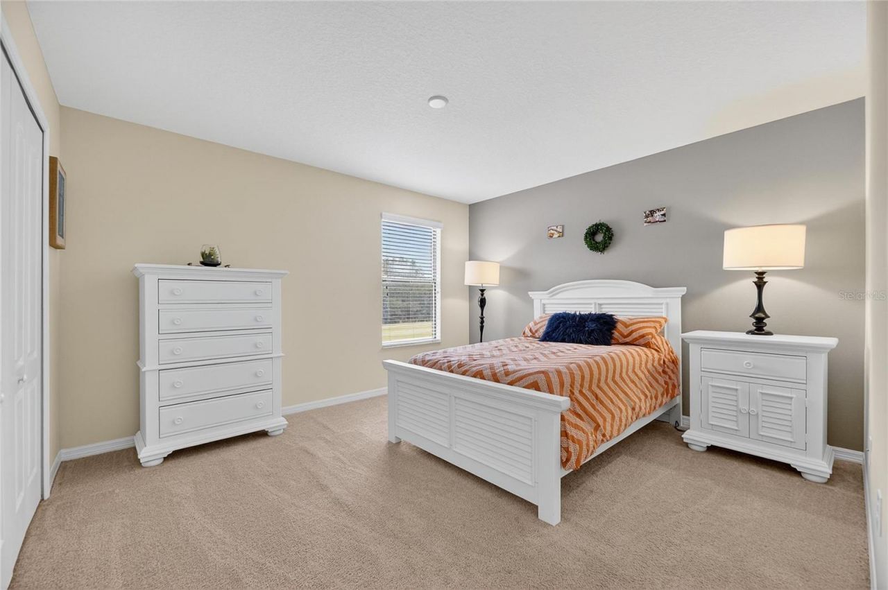 20041 Satin Leaf Avenue, Tampa, FL 33647 Photo