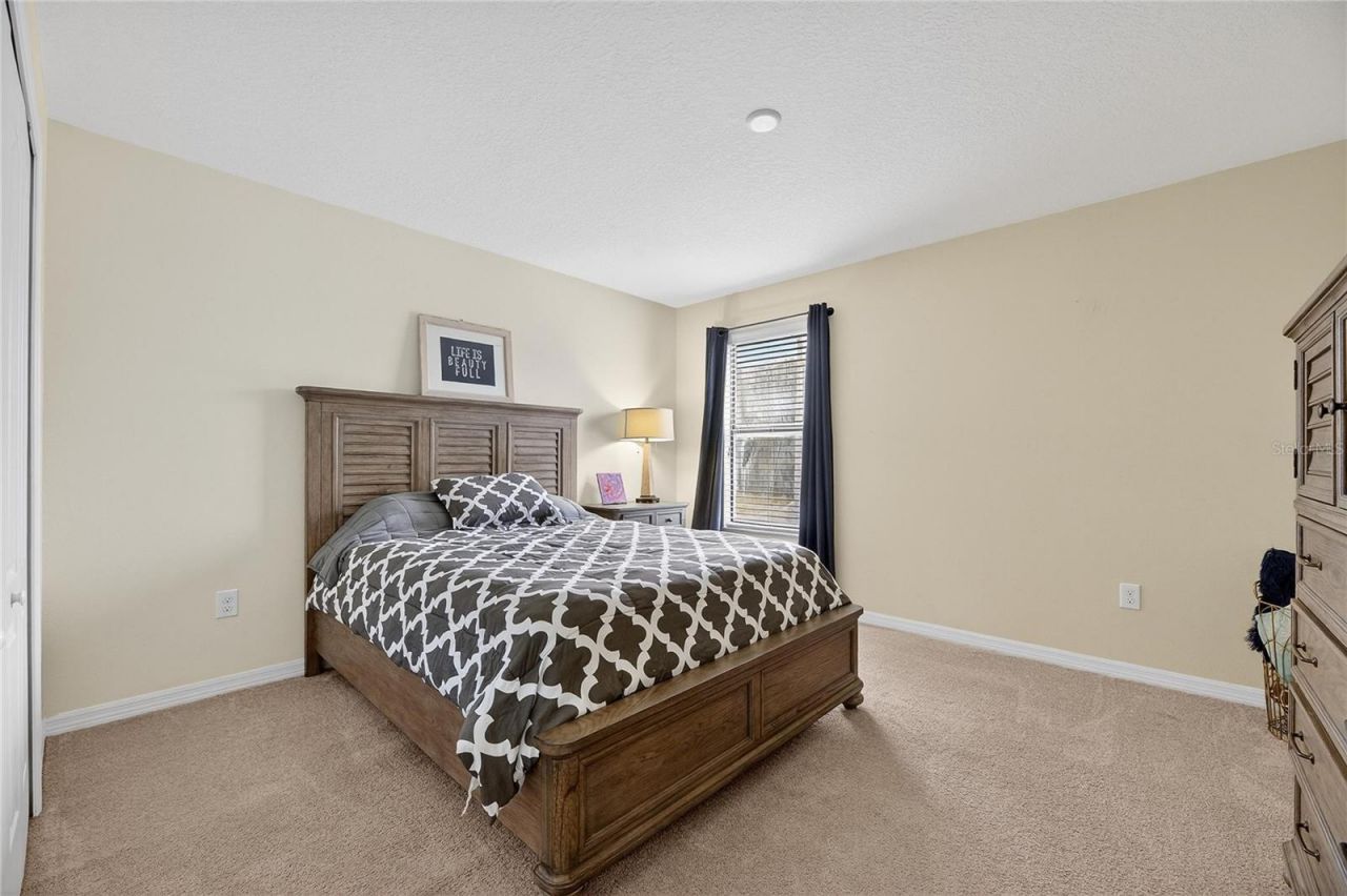 20041 Satin Leaf Avenue, Tampa, FL 33647 Photo