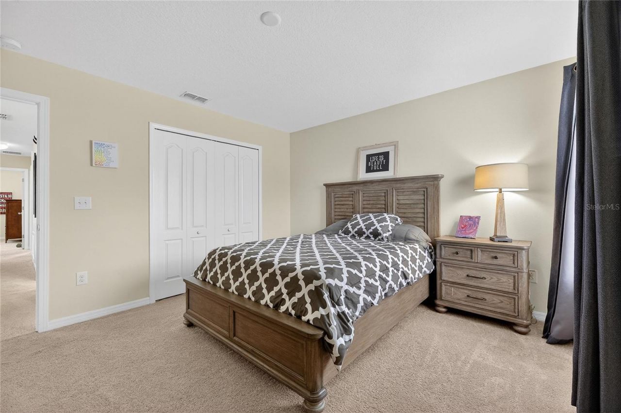 20041 Satin Leaf Avenue, Tampa, FL 33647 Photo